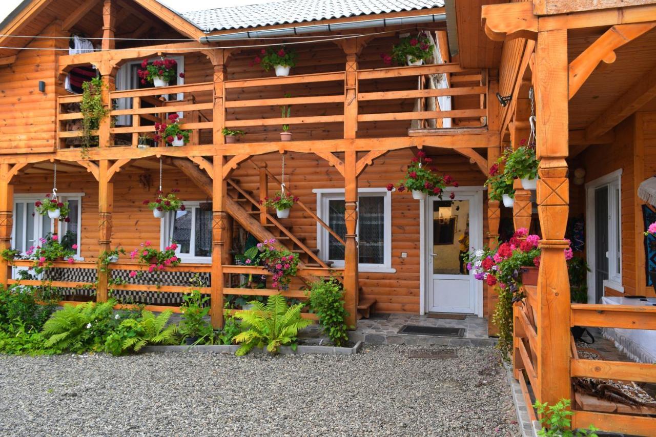 Casa Vladicu Hotel Breb Exterior photo