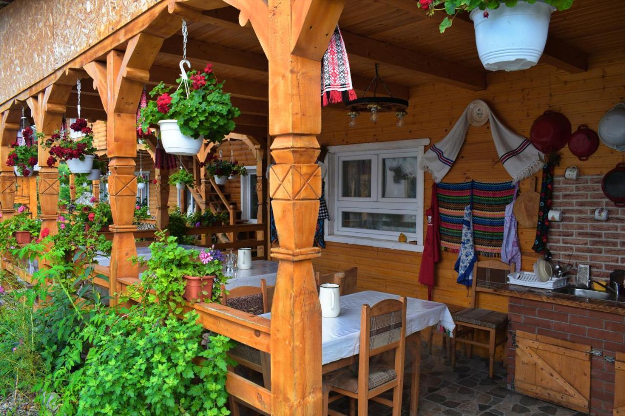 Casa Vladicu Hotel Breb Exterior photo
